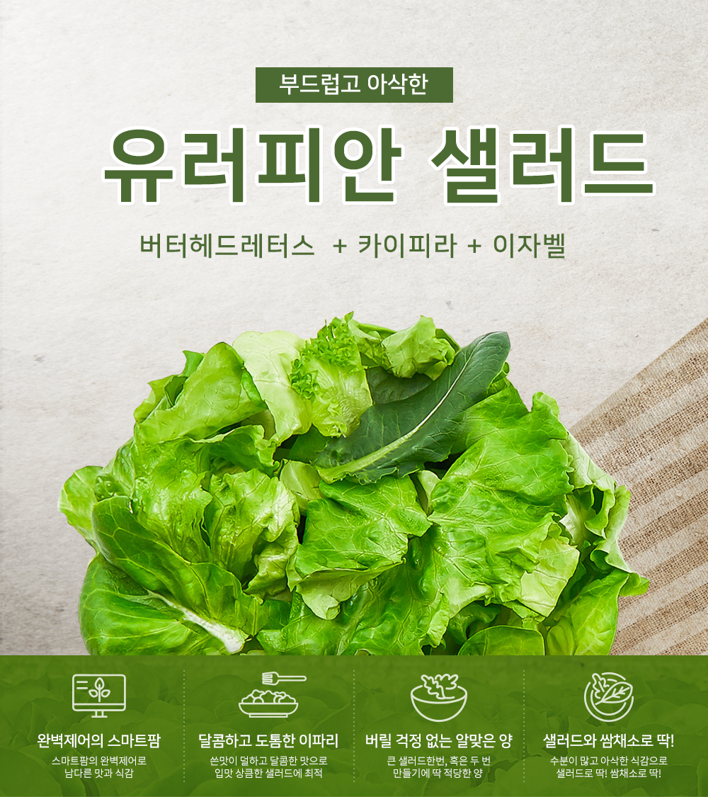 editor이미지