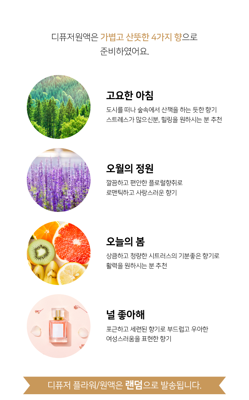 editor이미지