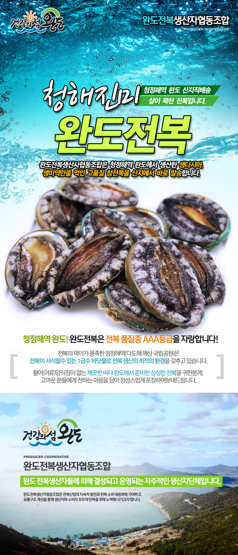 editor이미지