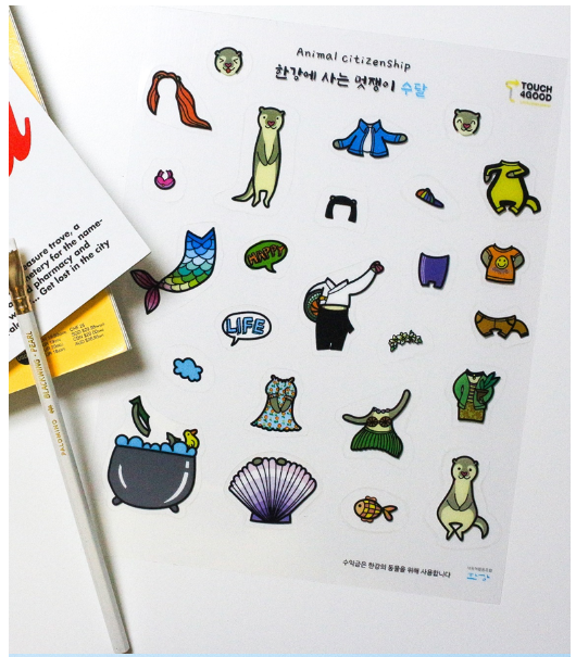 editor이미지
