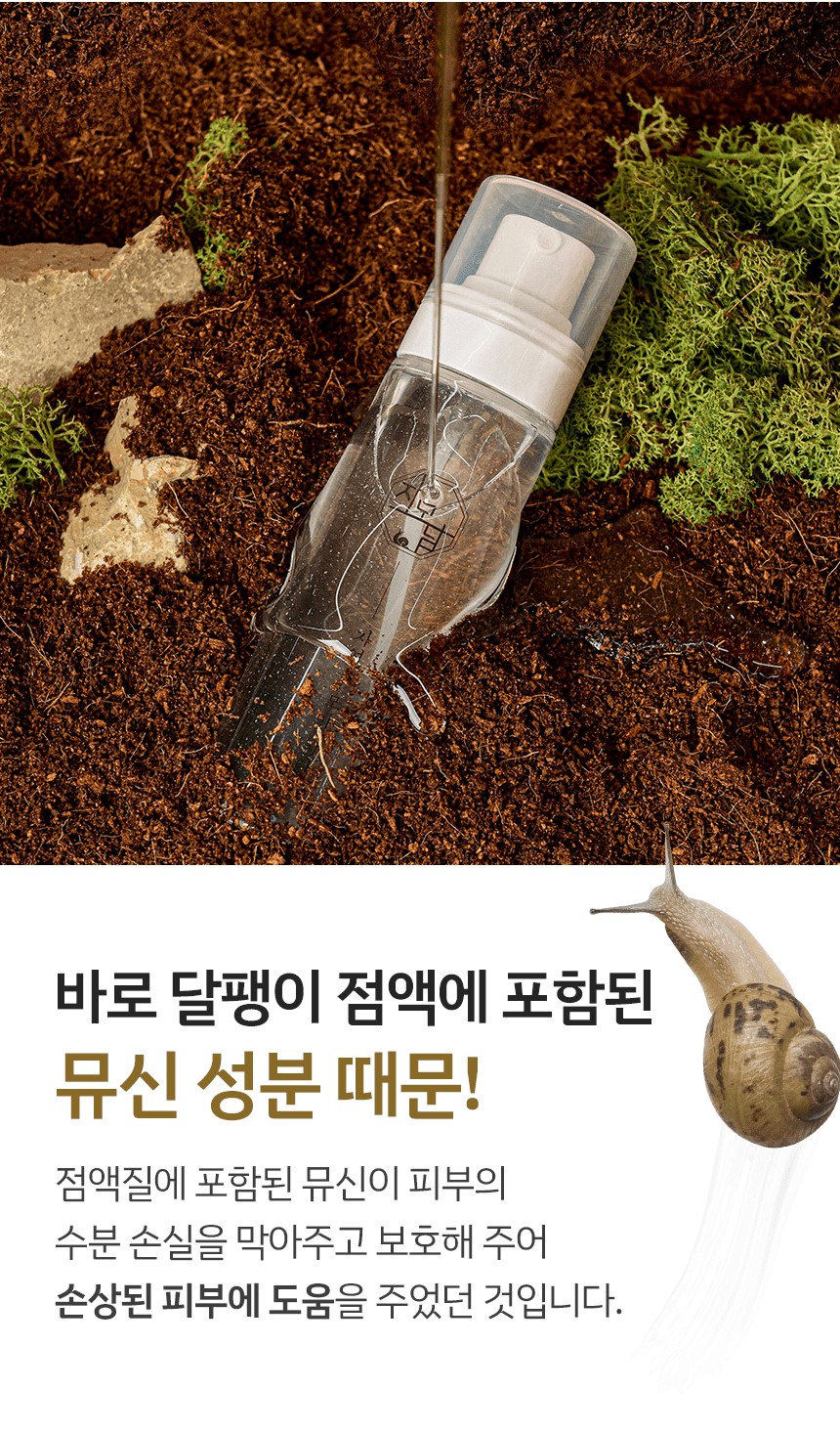 editor이미지