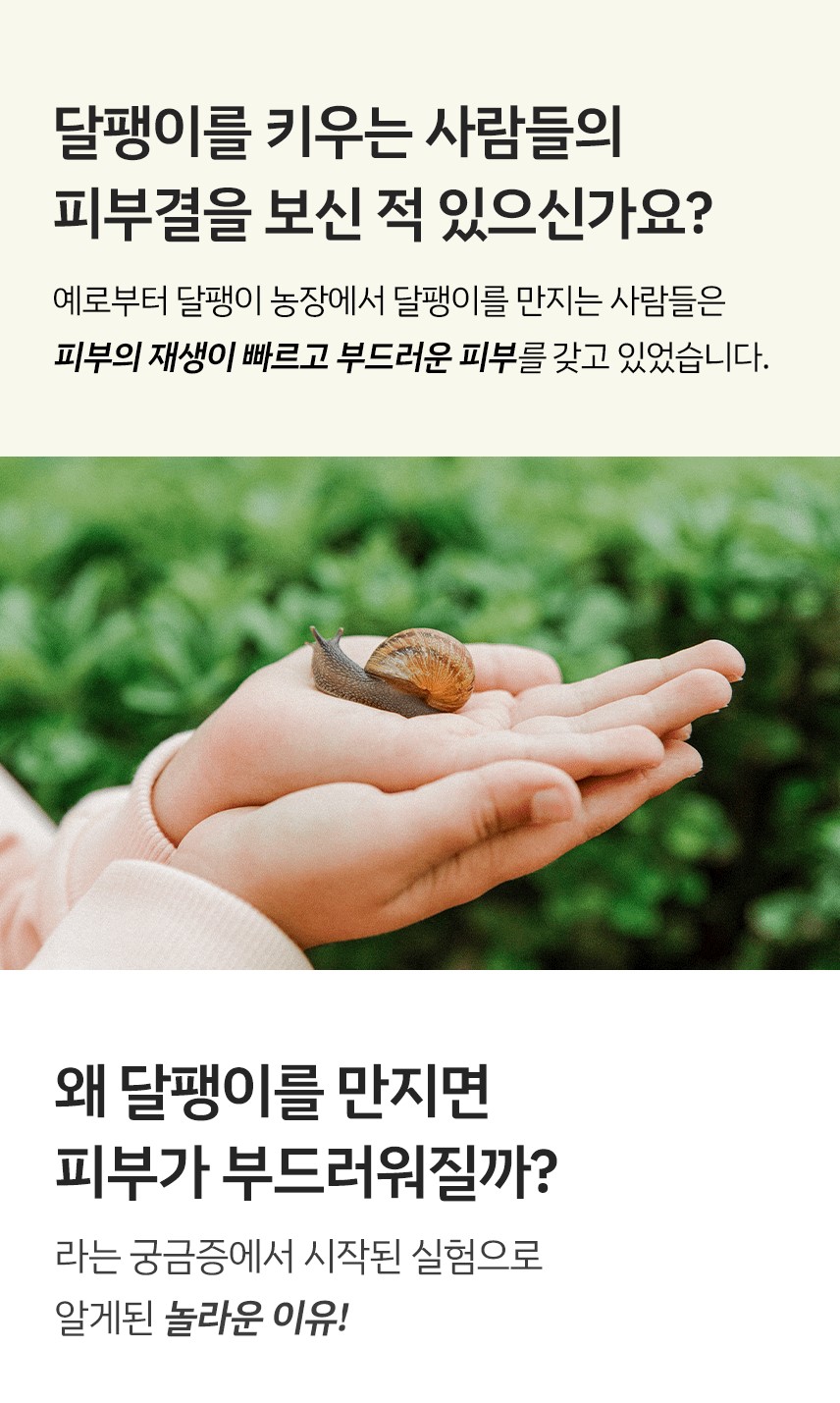 editor이미지