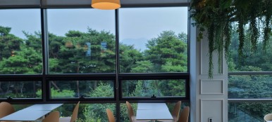 editor이미지