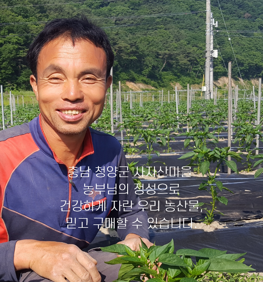 editor이미지