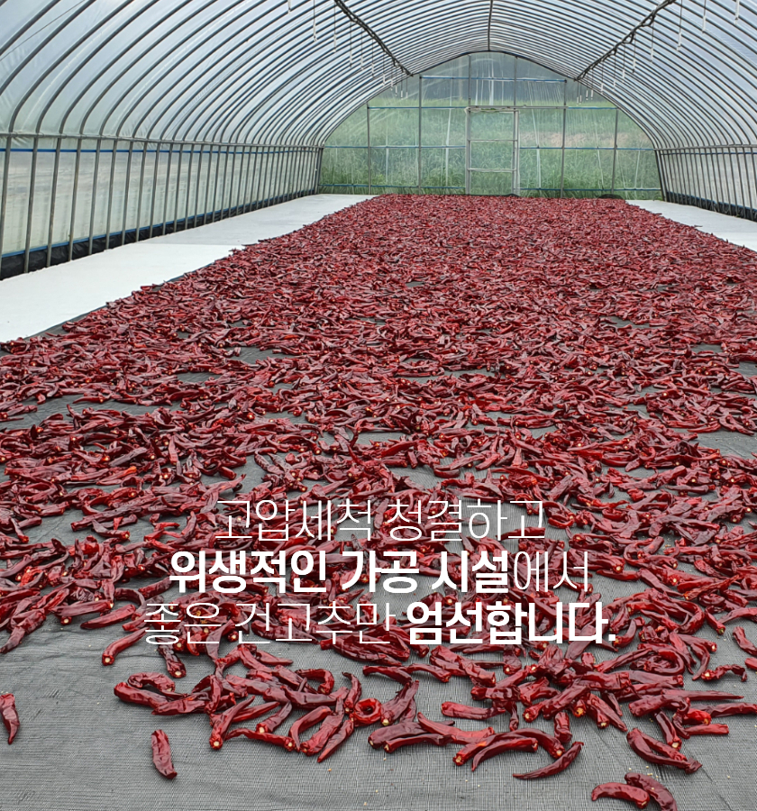 editor이미지