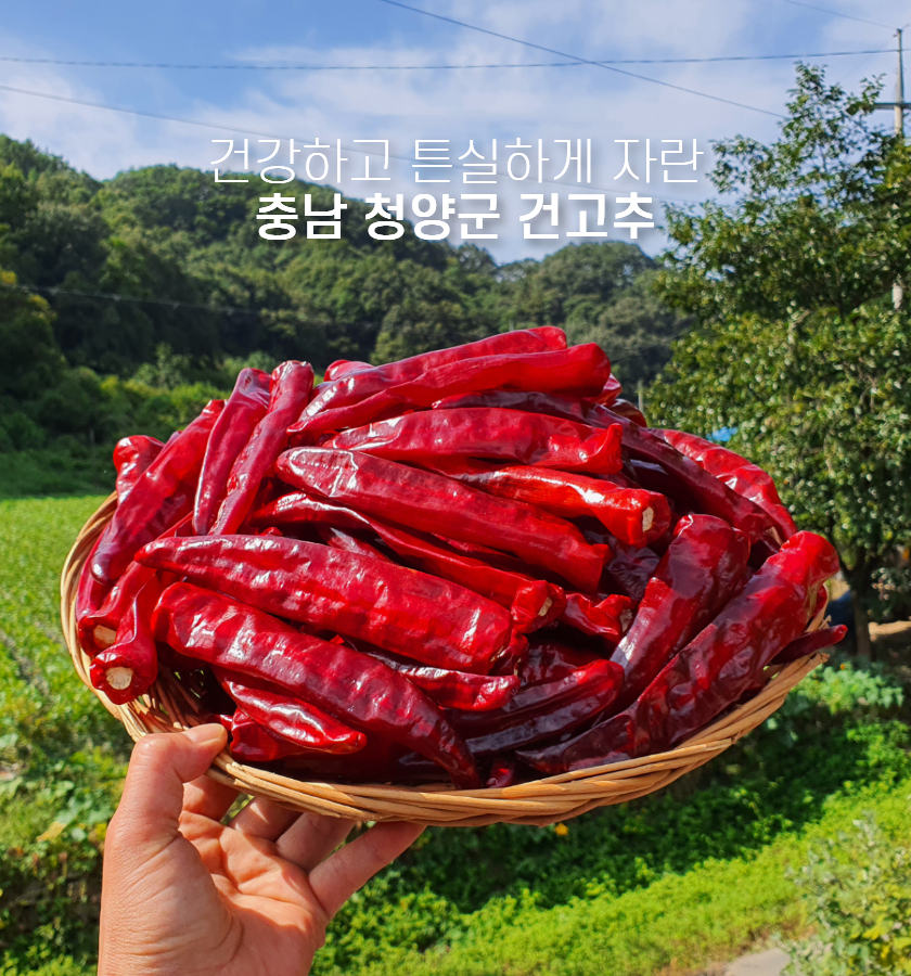 editor이미지
