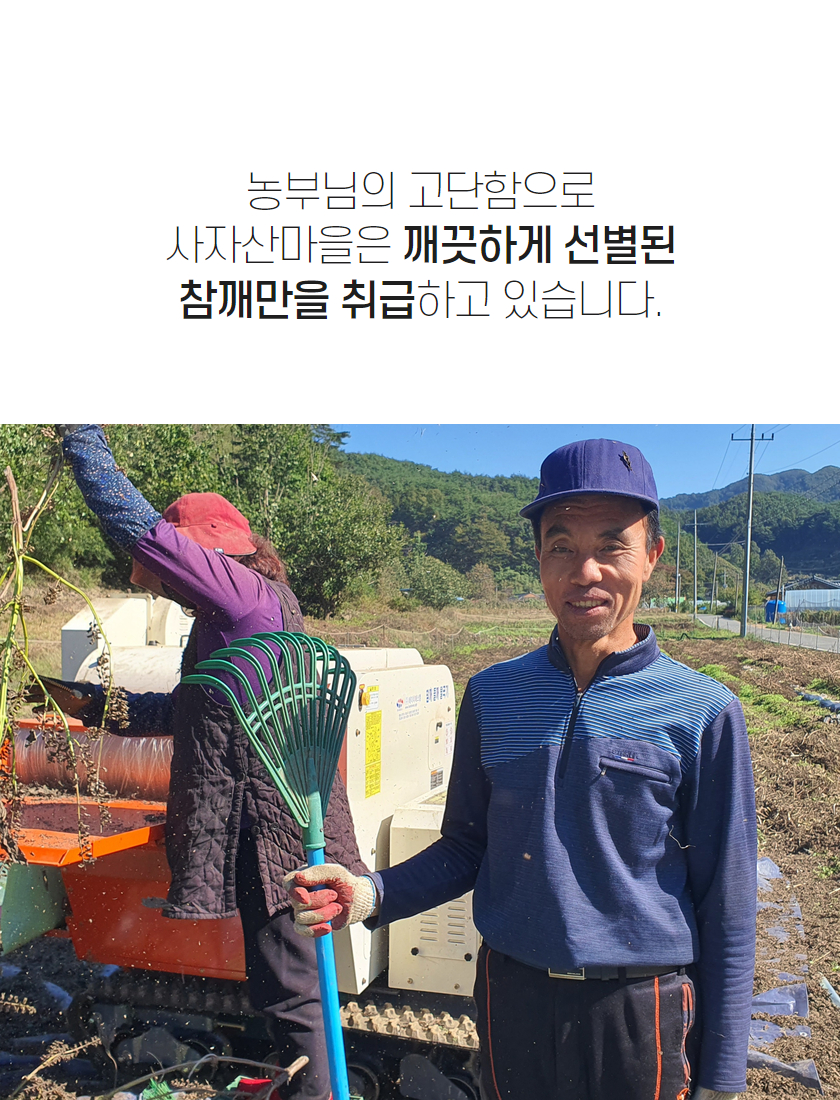 editor이미지