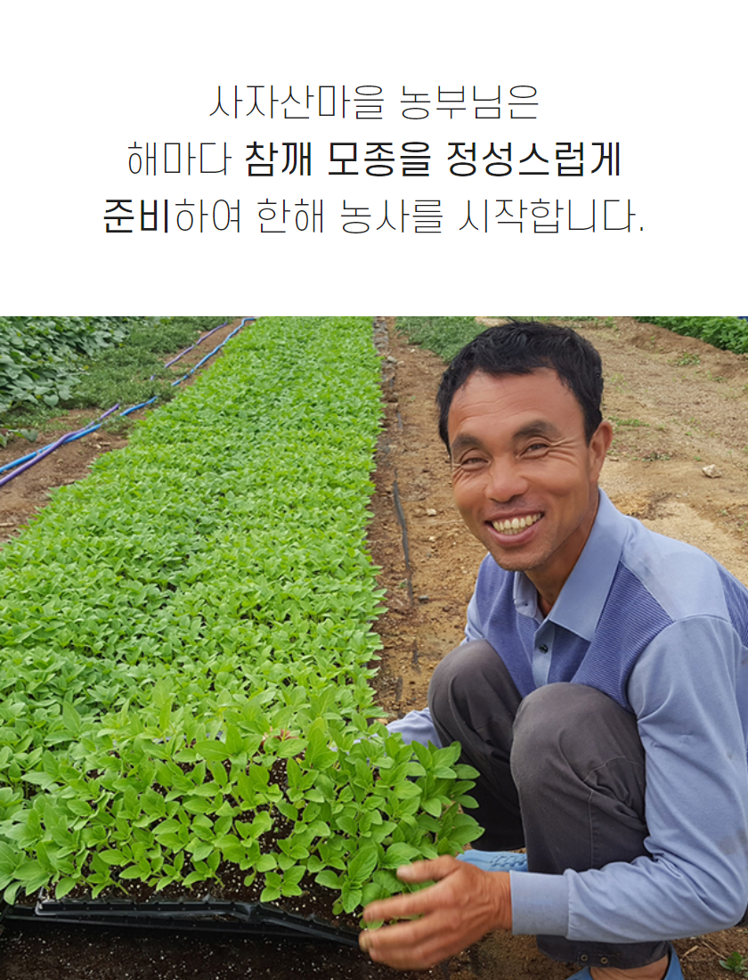 editor이미지