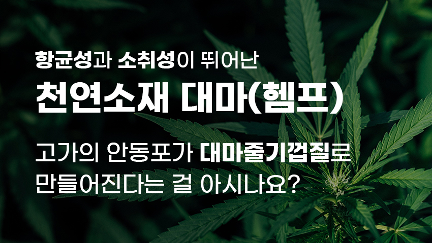 editor이미지