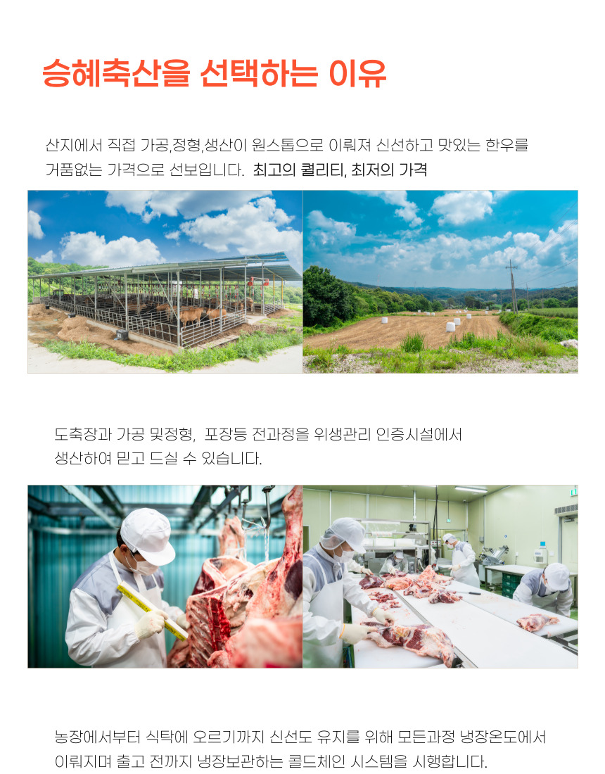 editor이미지
