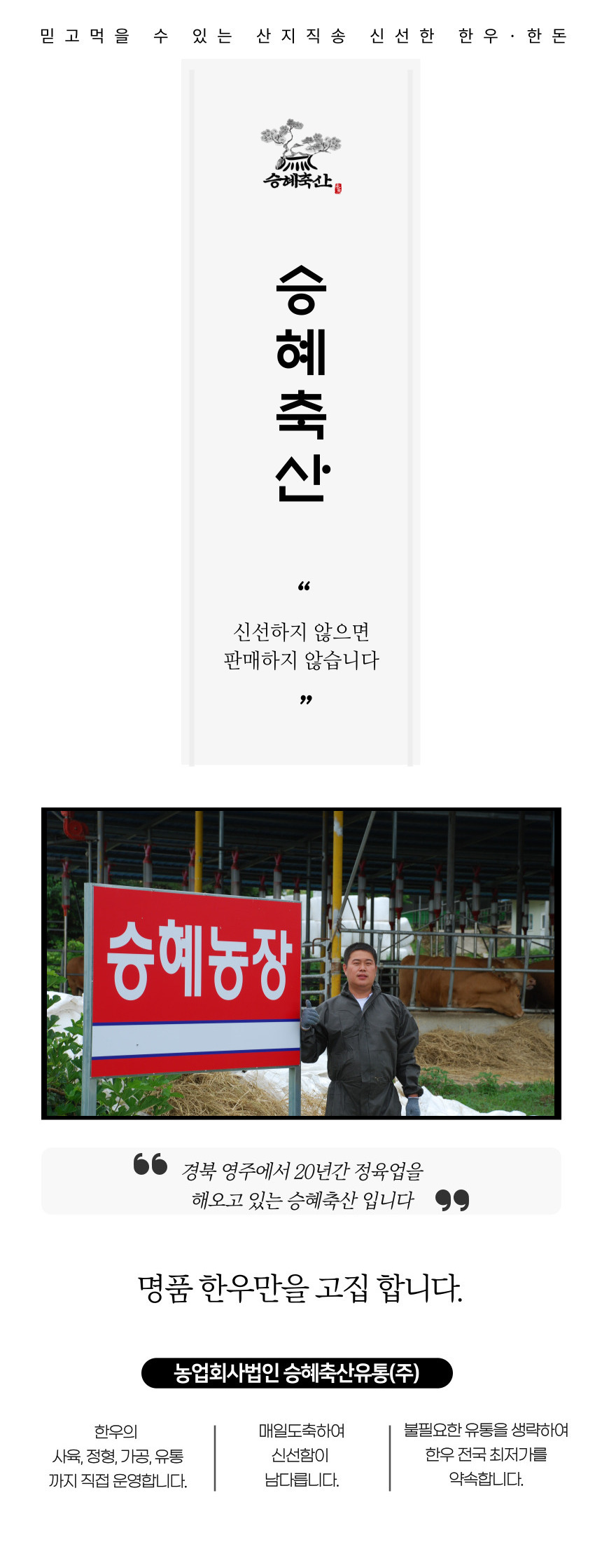 editor이미지