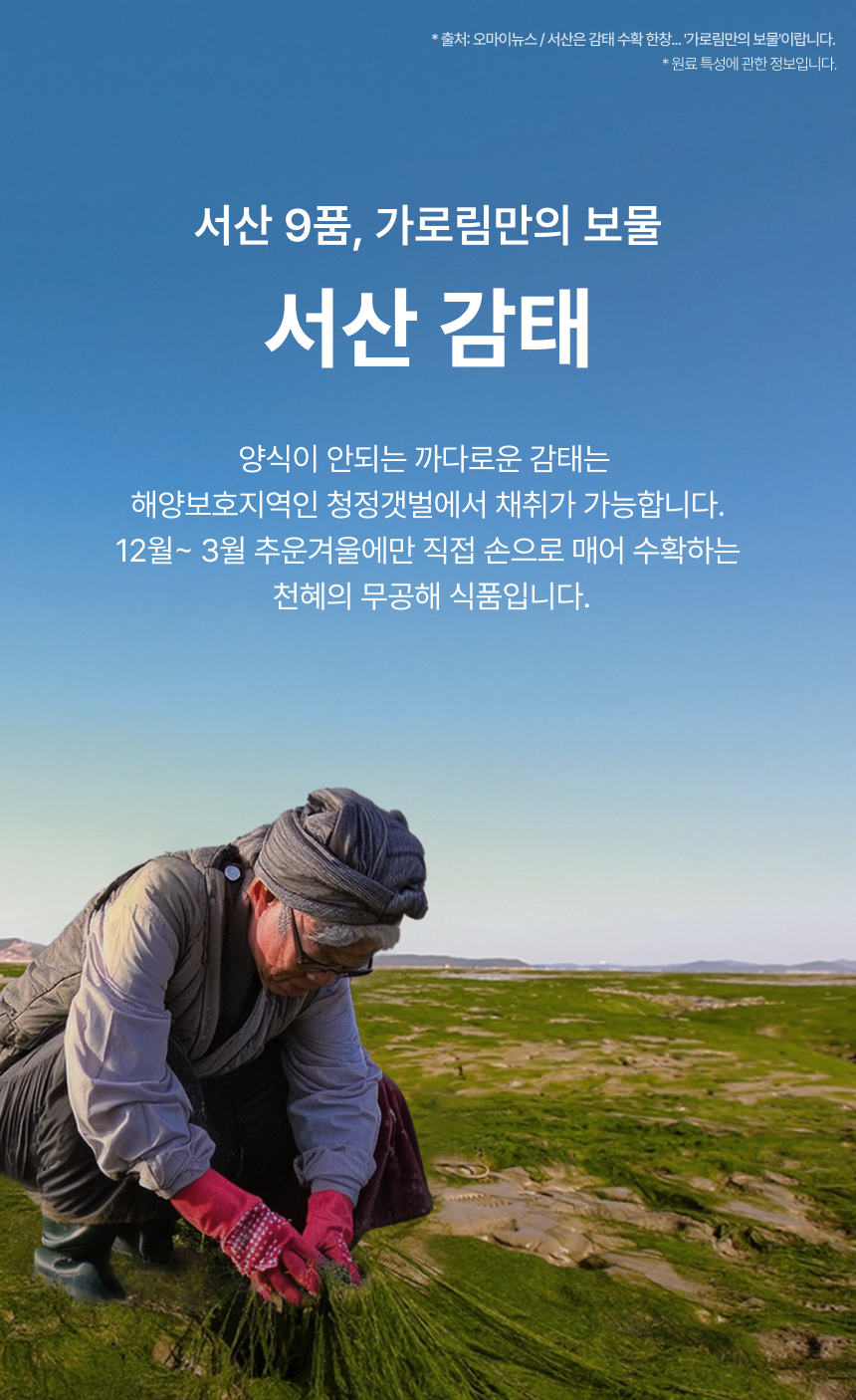 editor이미지