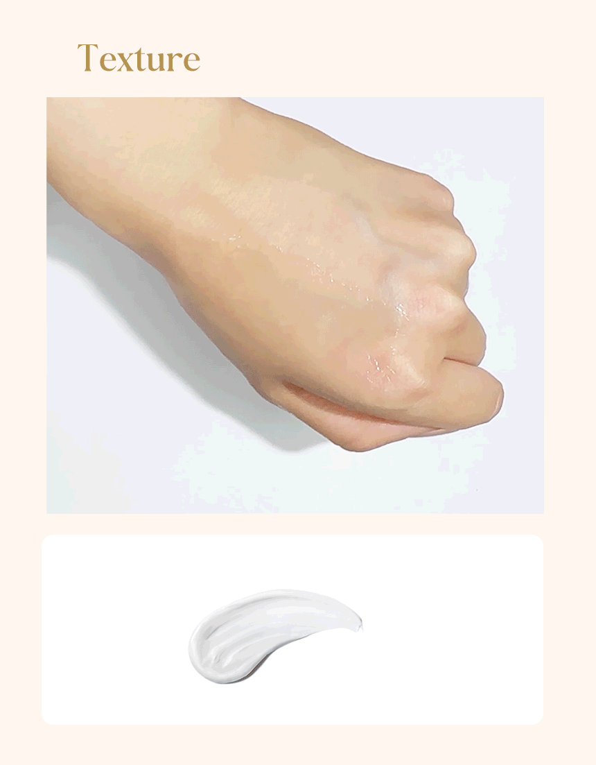editor이미지