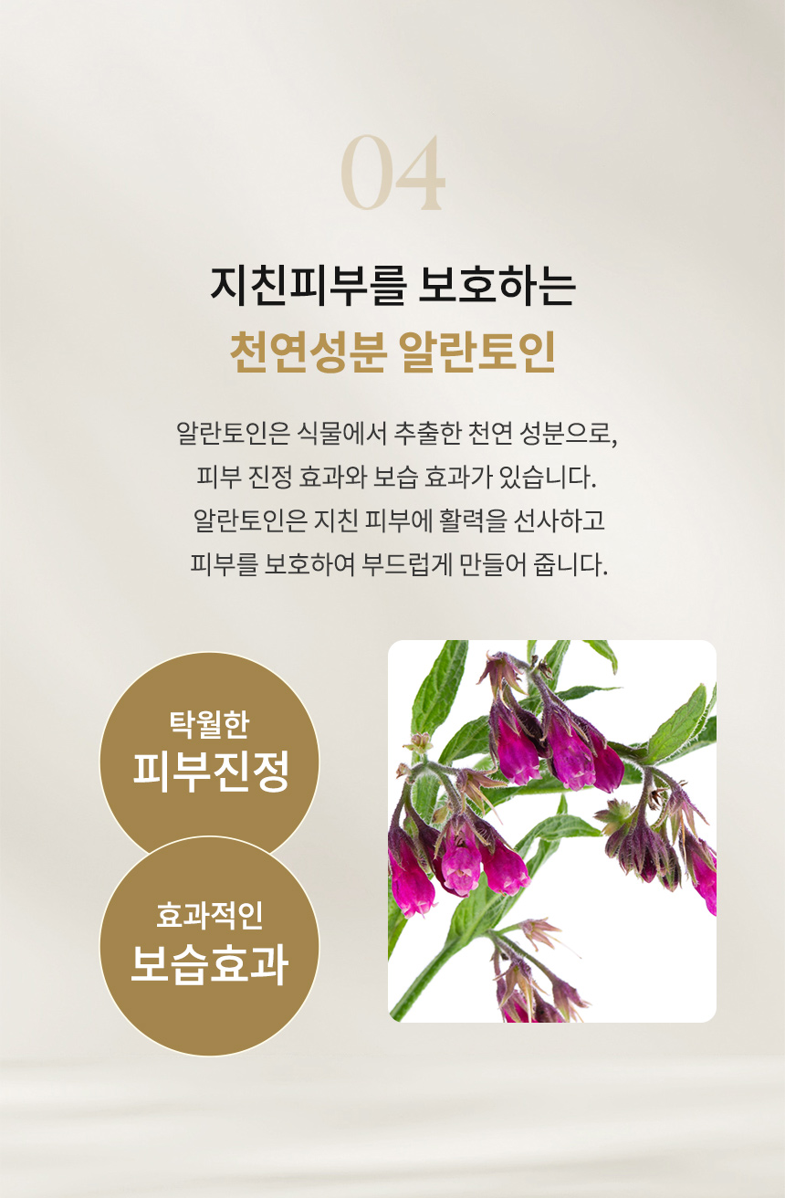 editor이미지