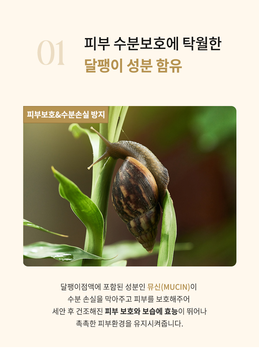 editor이미지