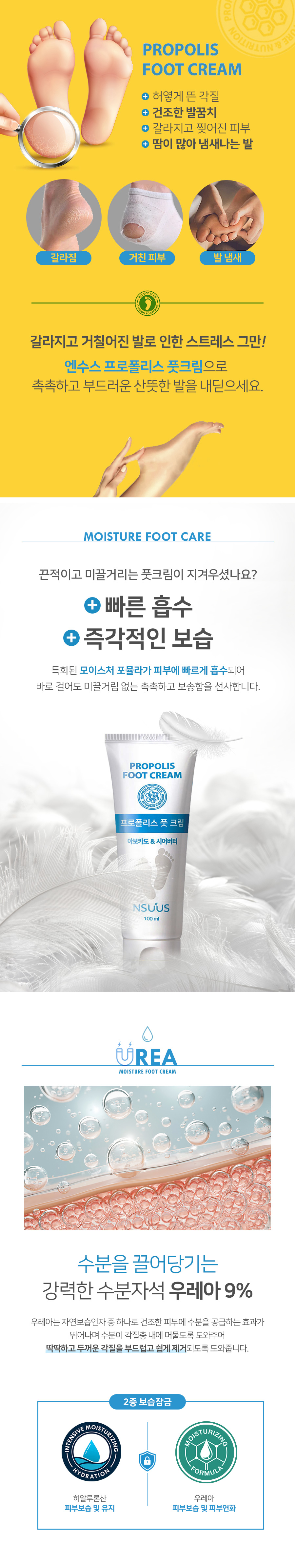 editor이미지