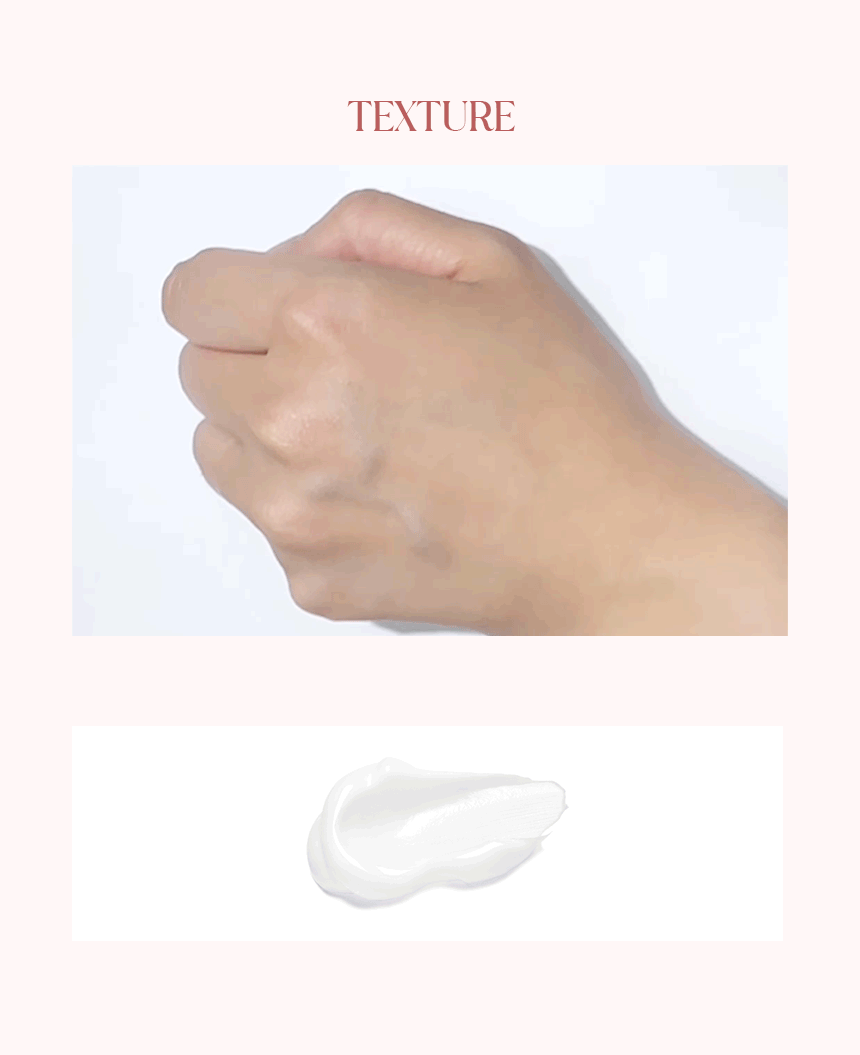 editor이미지