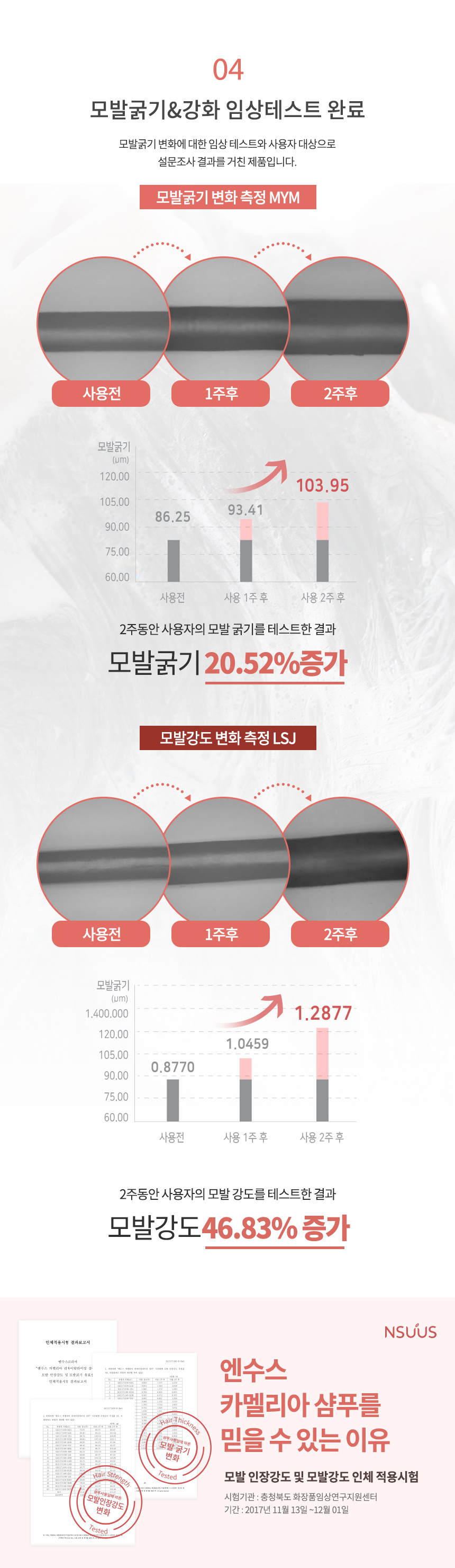 editor이미지