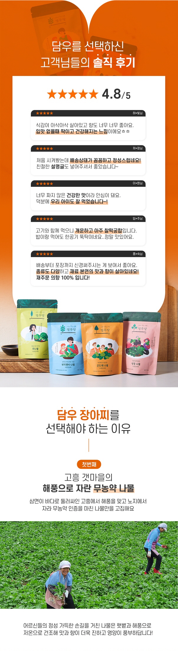 editor이미지