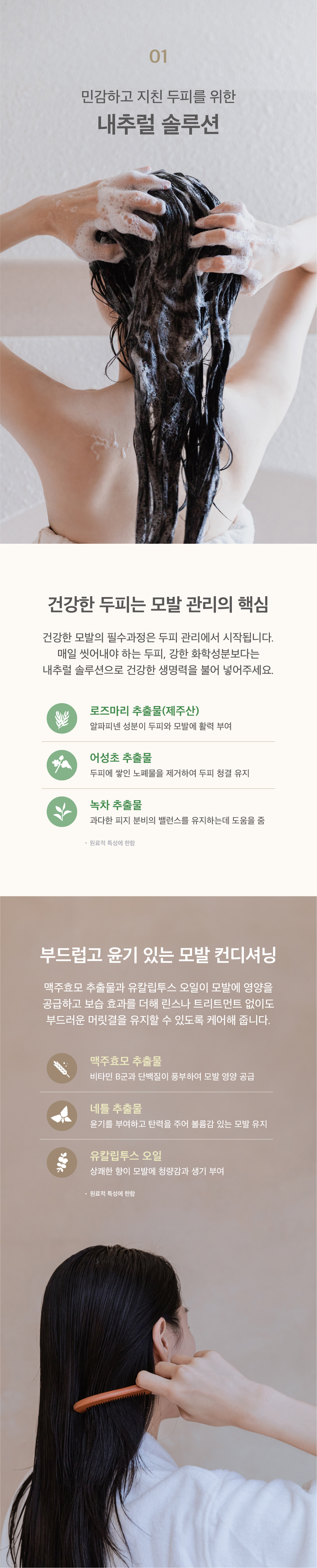 editor이미지
