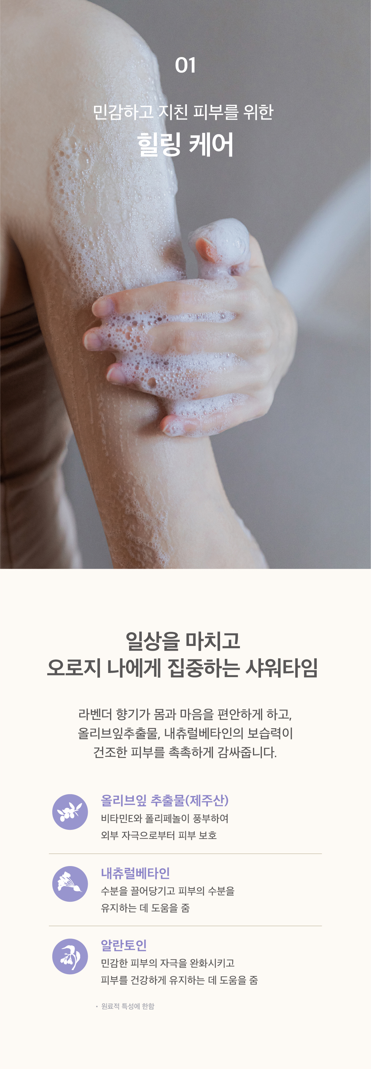 editor이미지