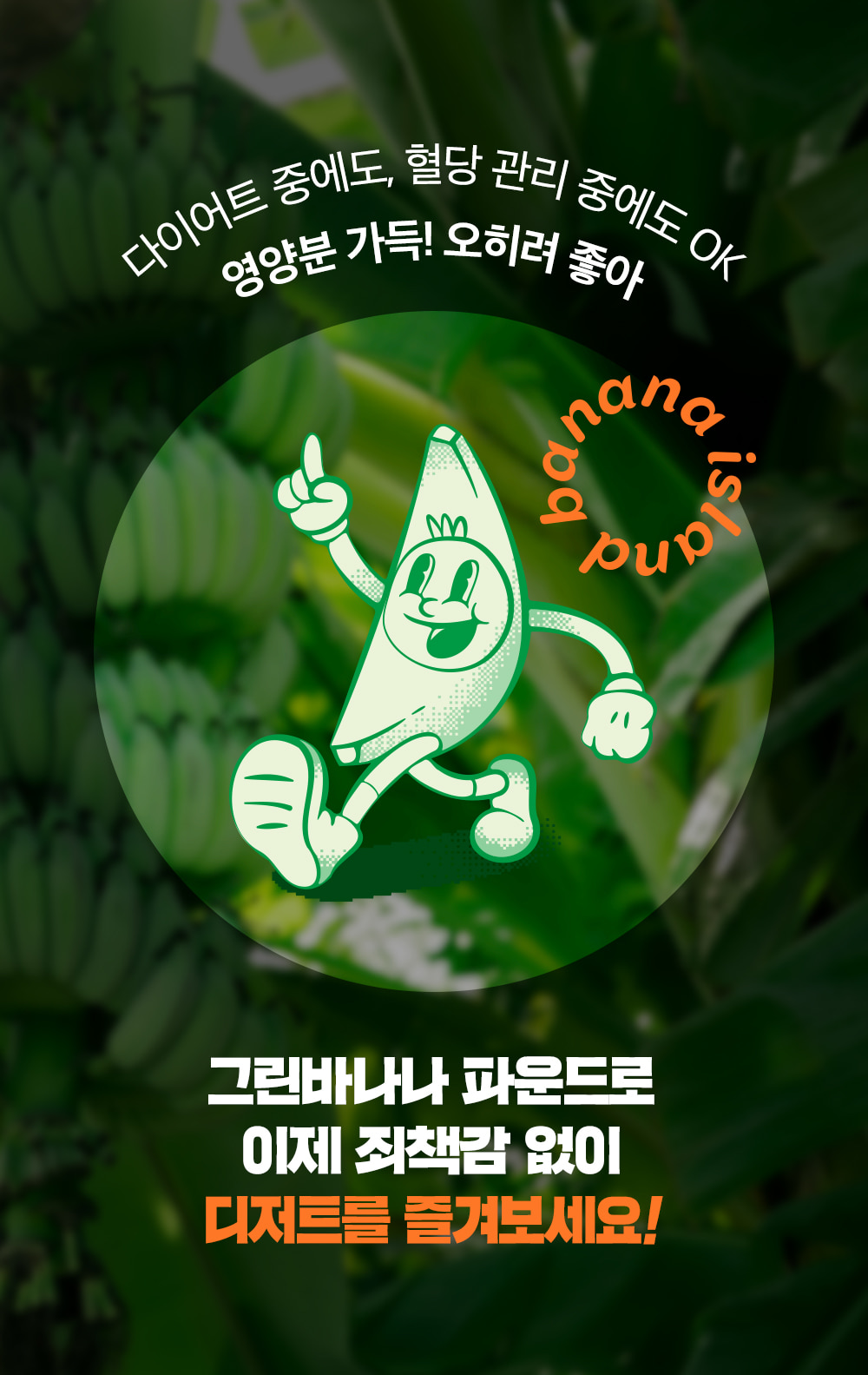 editor이미지