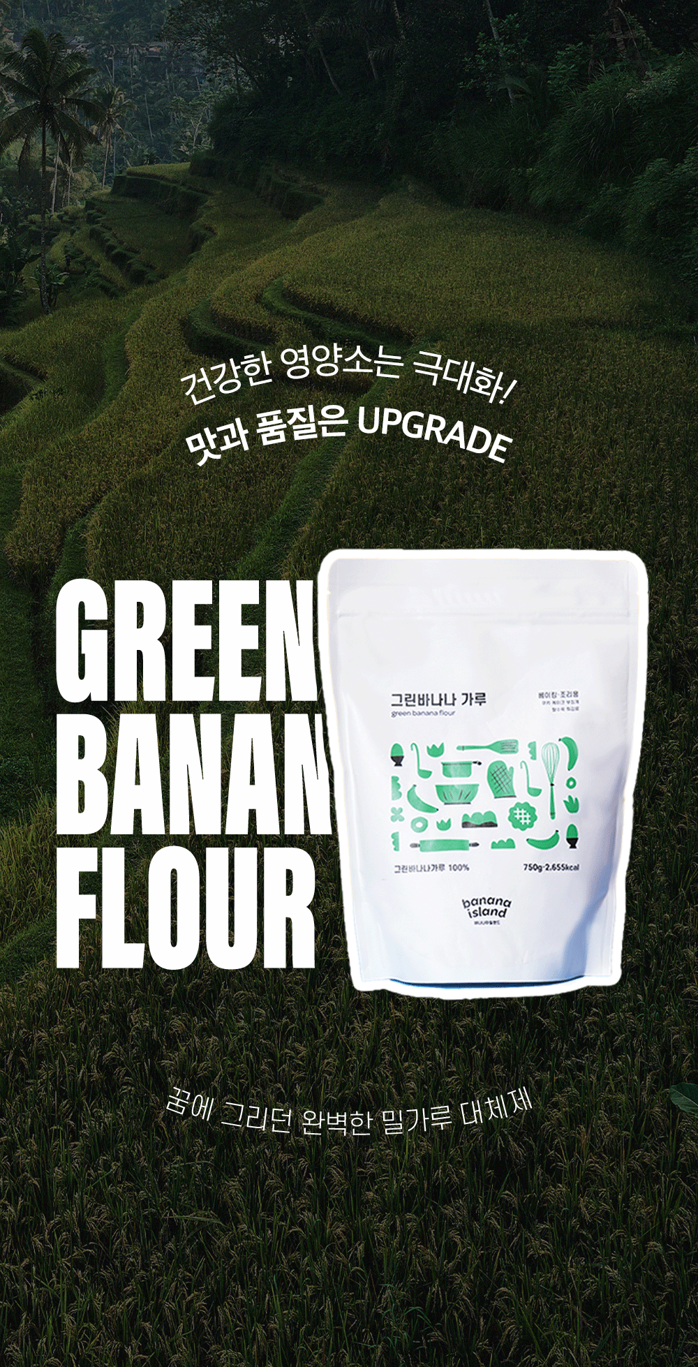 editor이미지