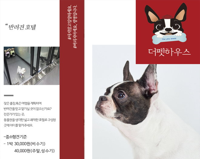 editor이미지