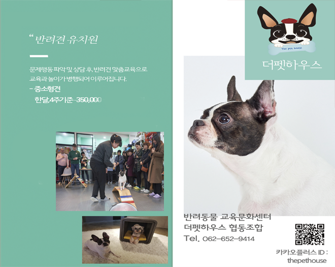 editor이미지