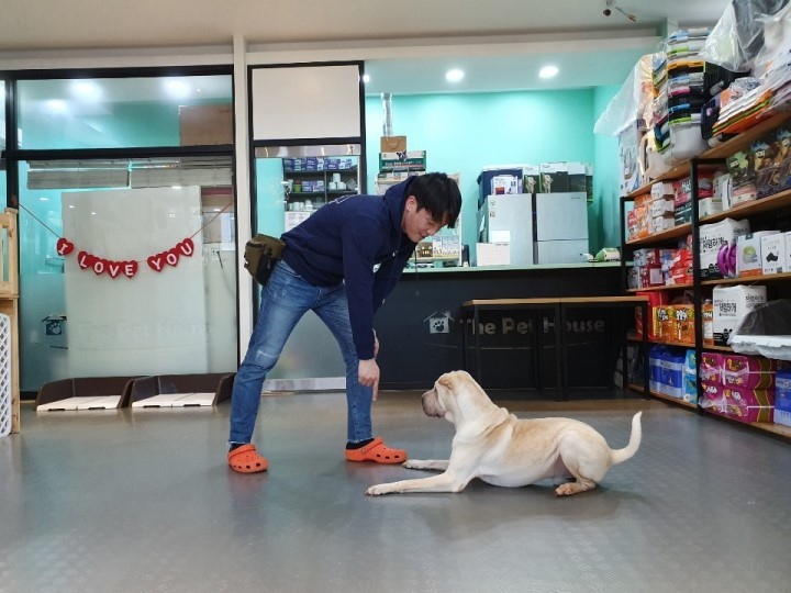editor이미지