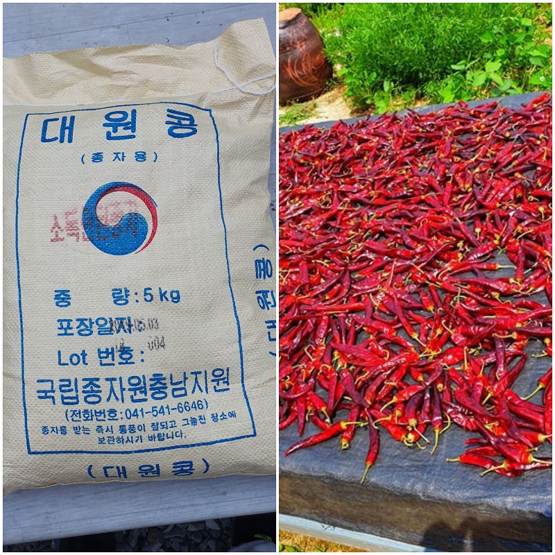 editor이미지