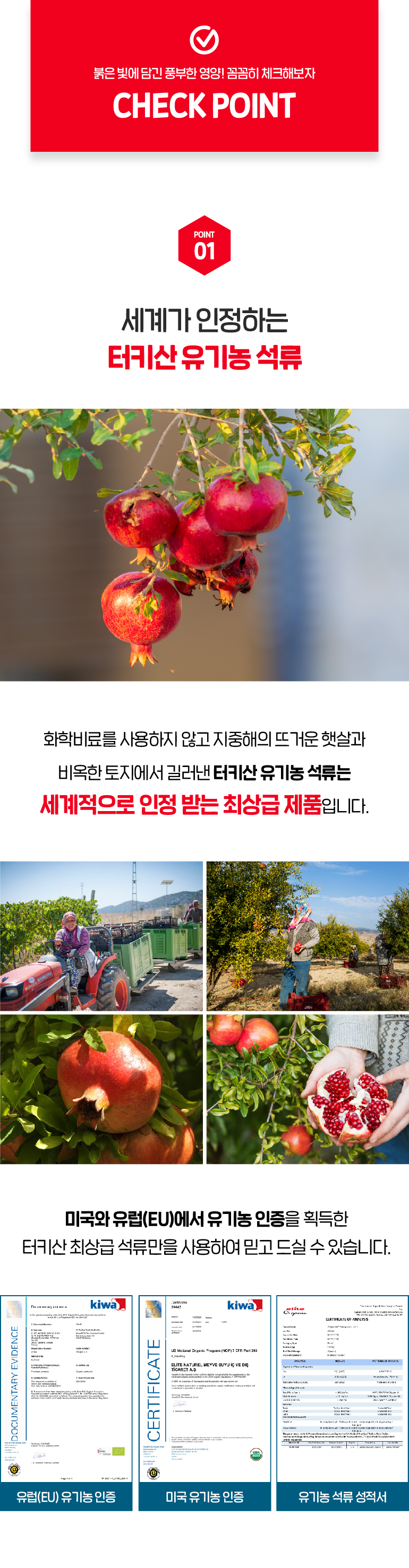 editor이미지