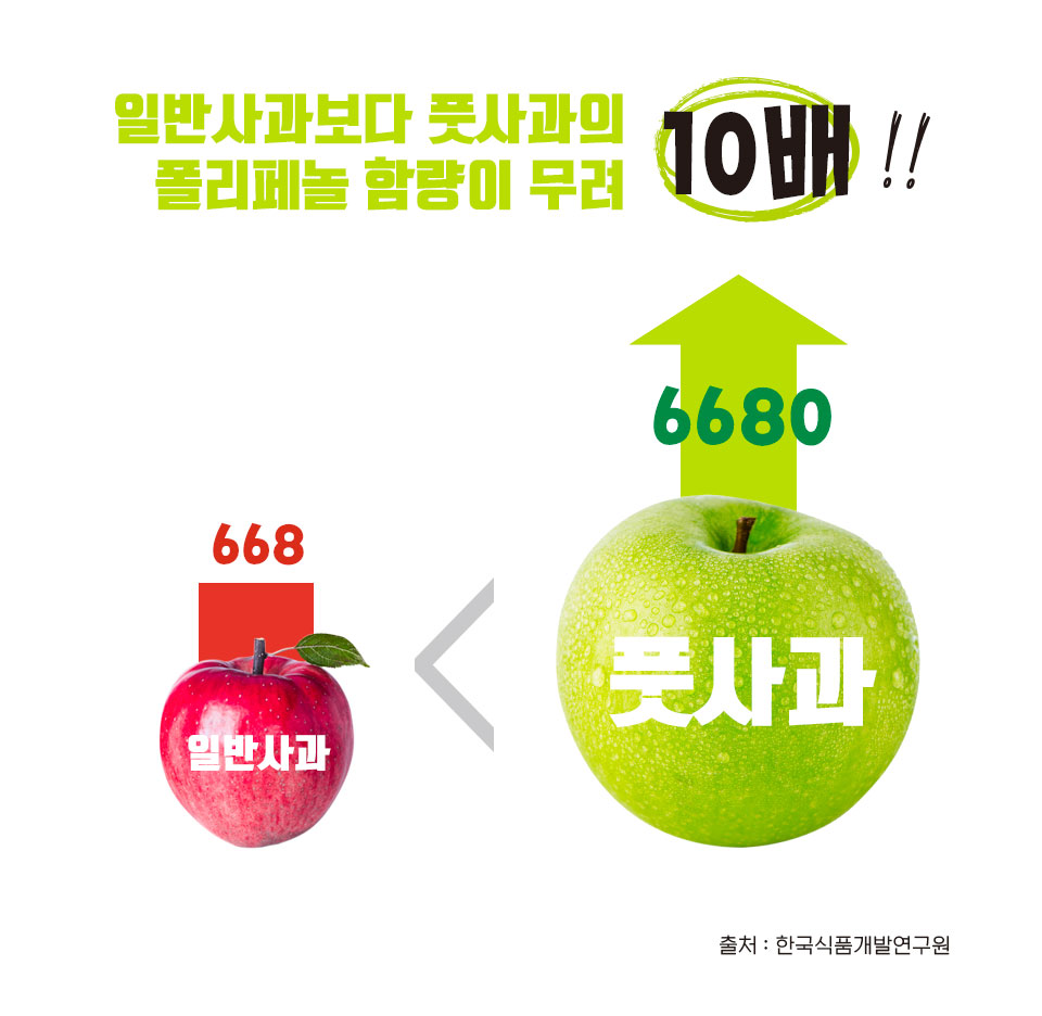 editor이미지