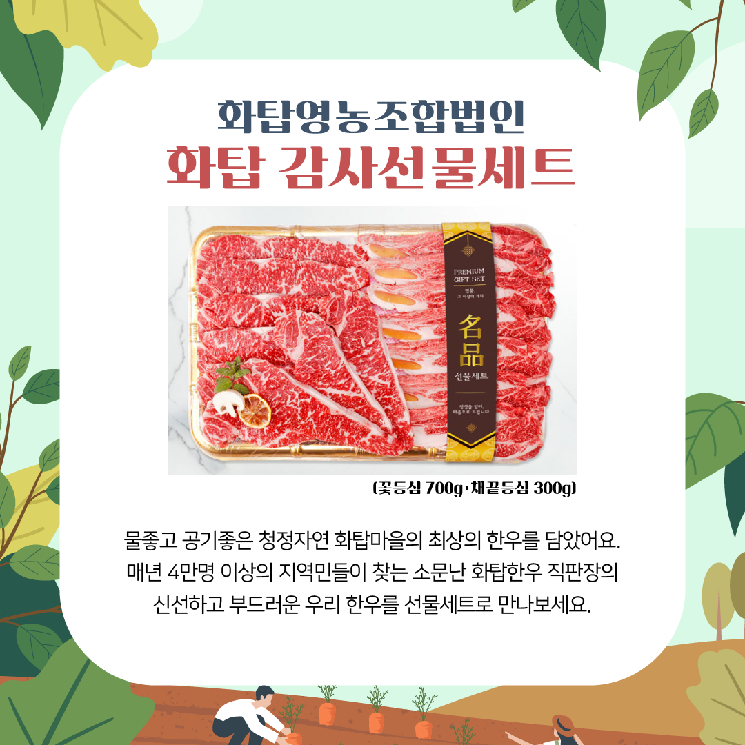 editor이미지