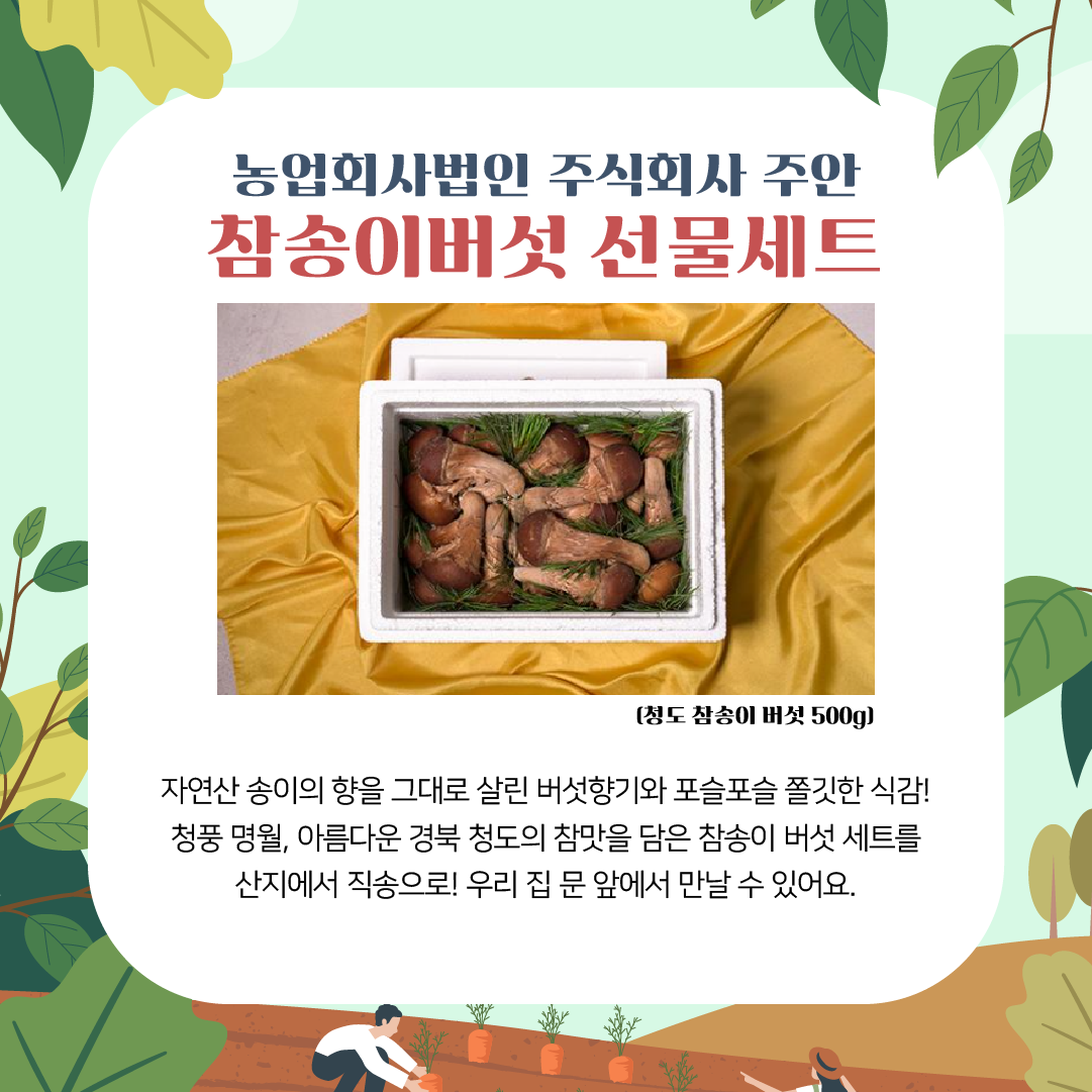 editor이미지