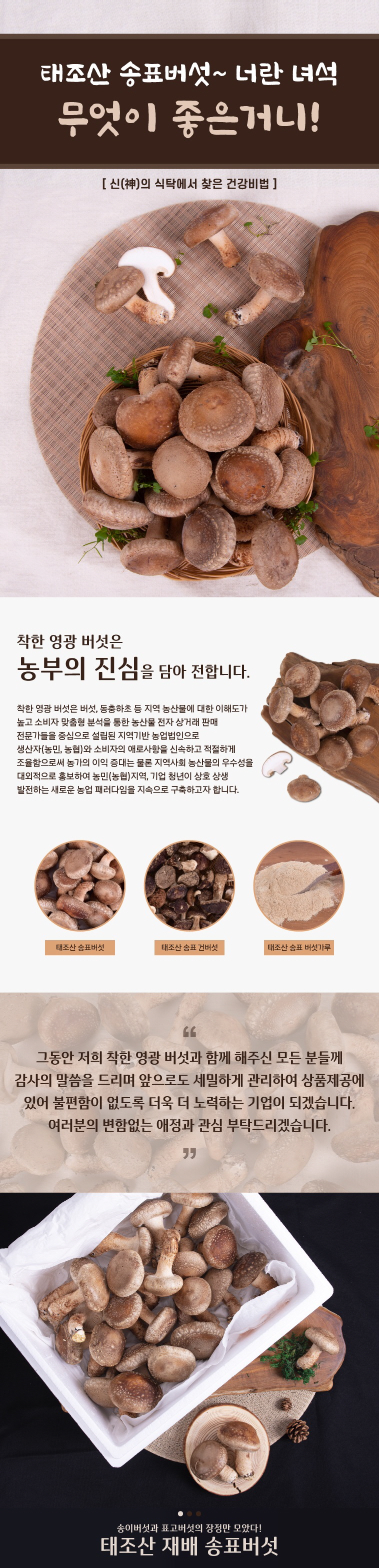 editor이미지