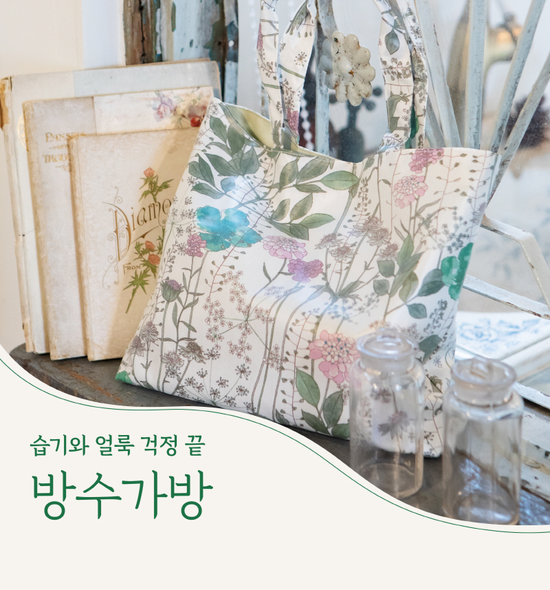 editor이미지