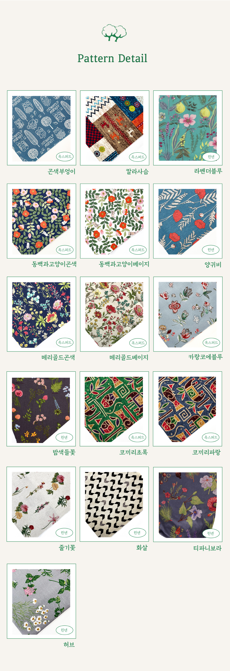 editor이미지