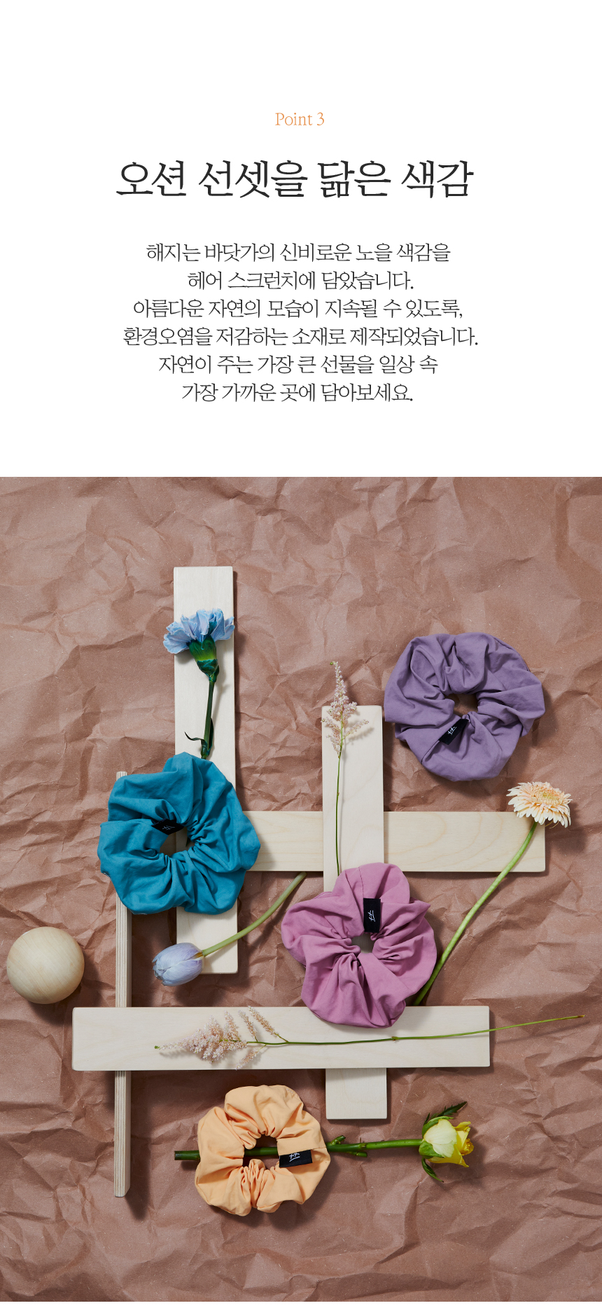 editor이미지