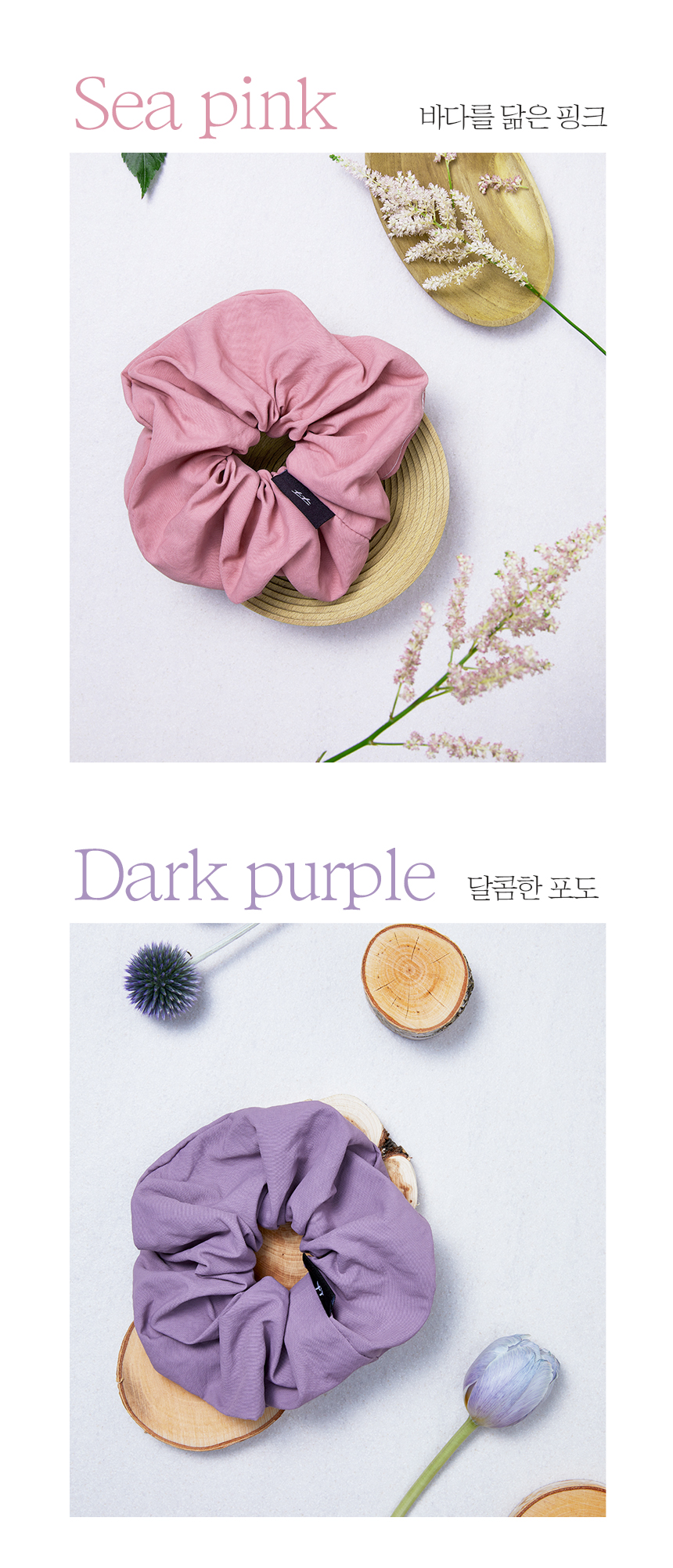 editor이미지