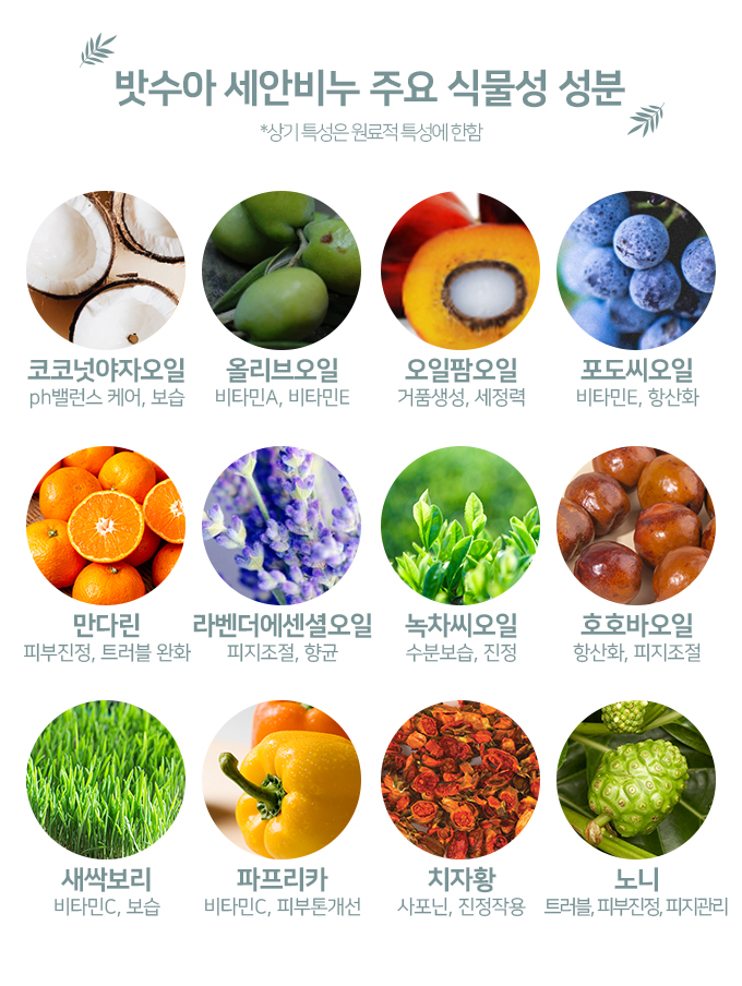 editor이미지