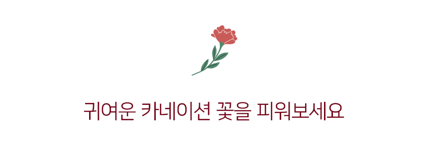 editor이미지