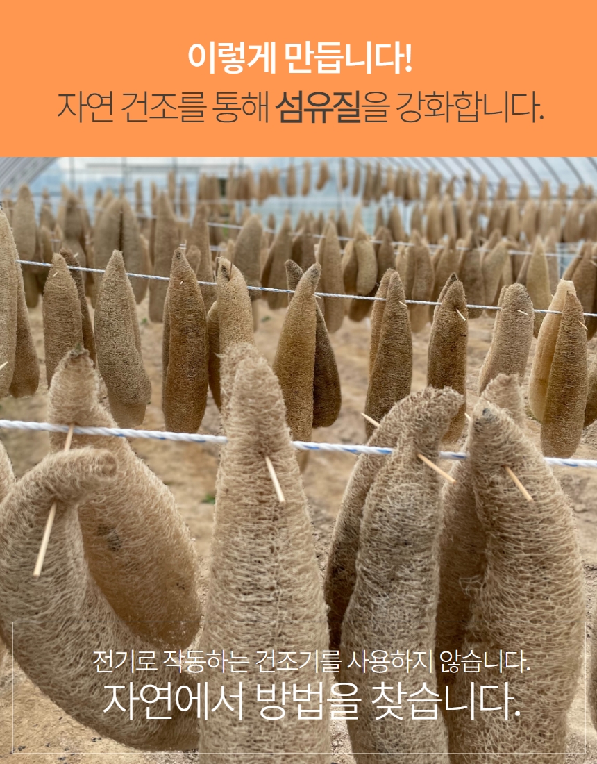 editor이미지