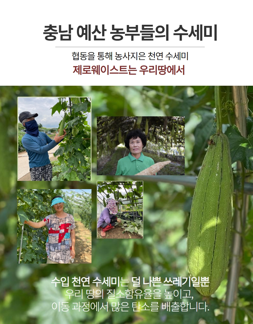 editor이미지