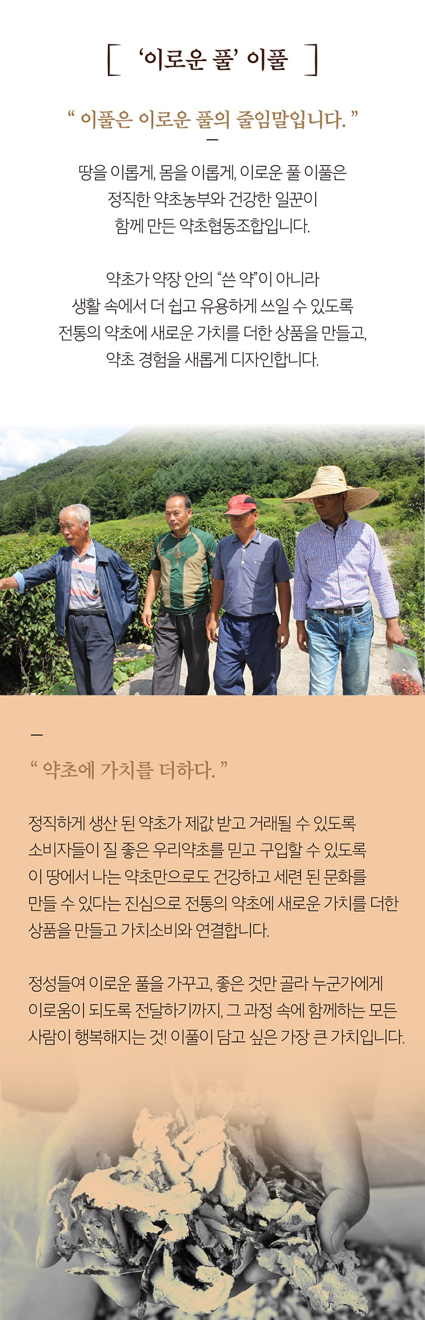 editor이미지