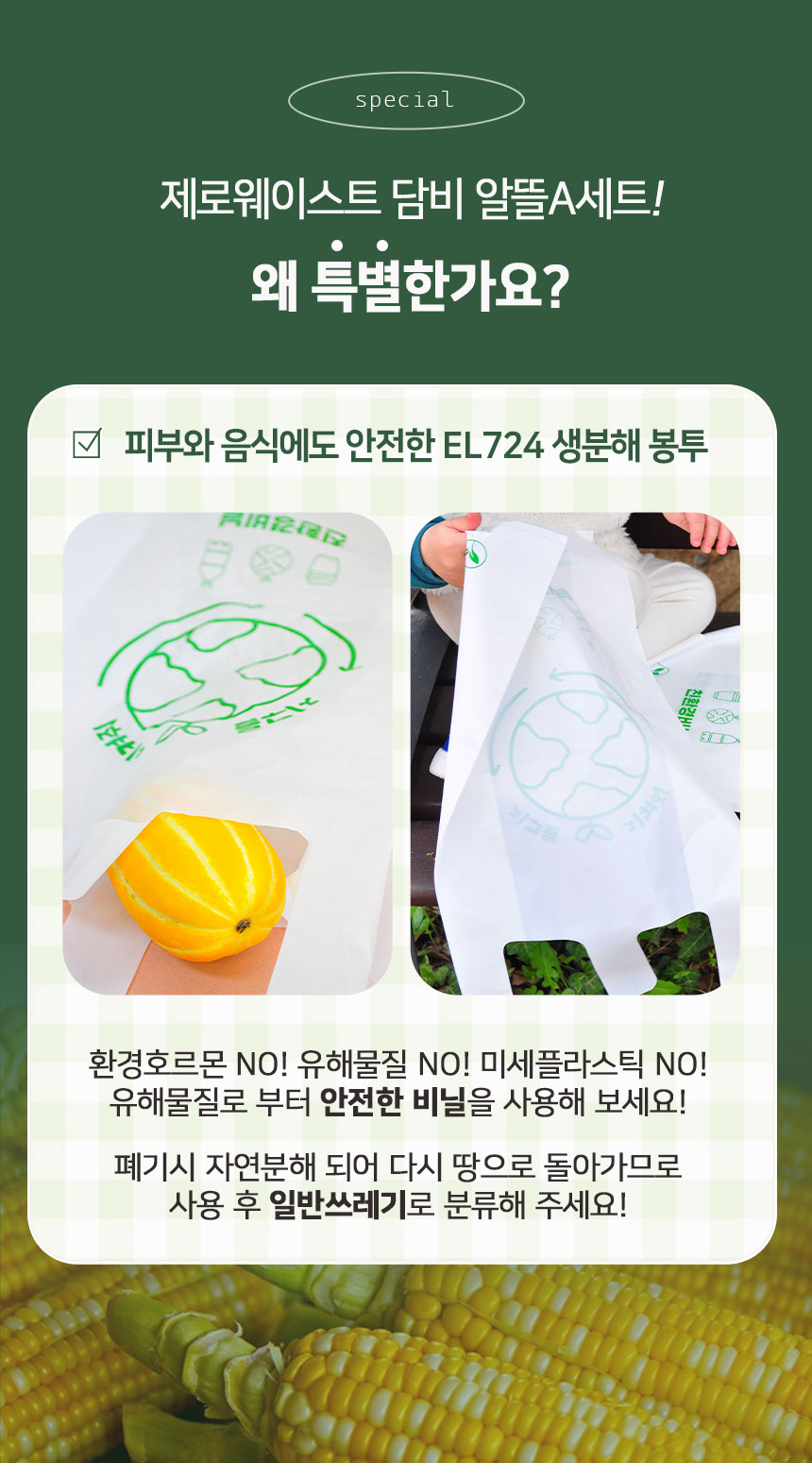 editor이미지
