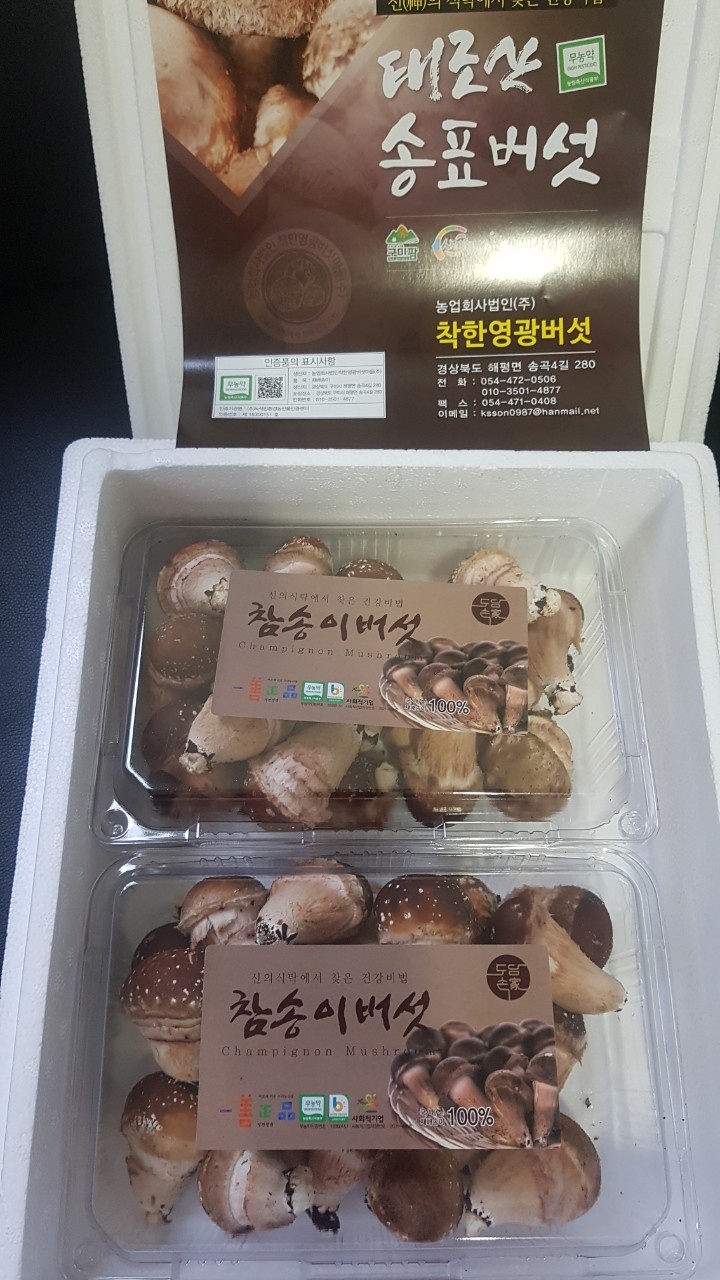 editor이미지