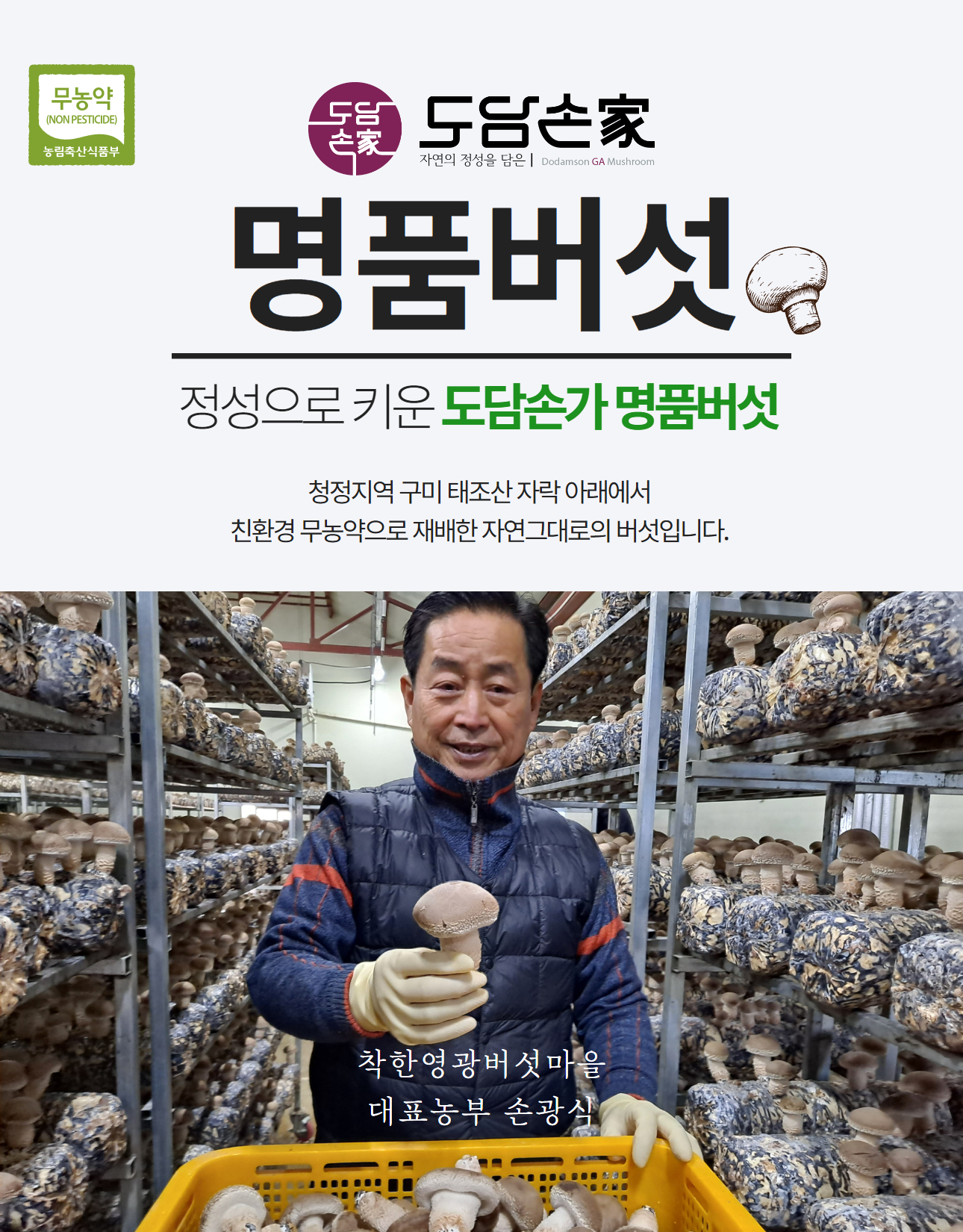 editor이미지