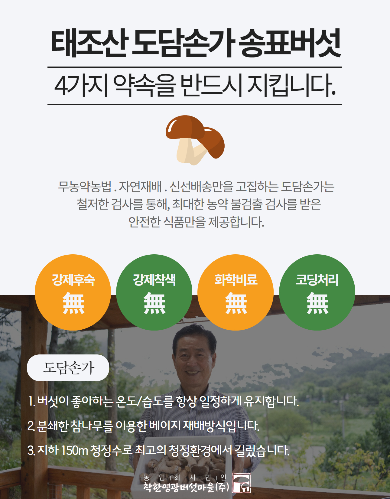 editor이미지