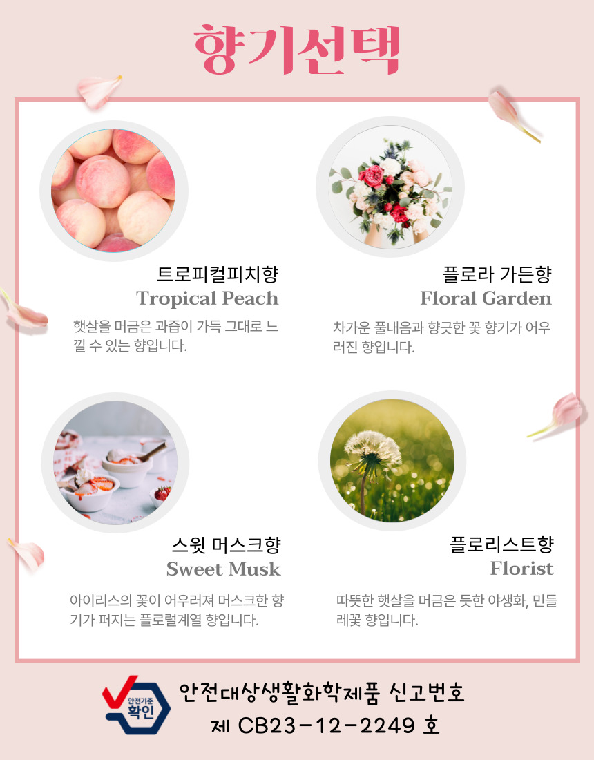 editor이미지